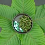 trusted kratom vendors