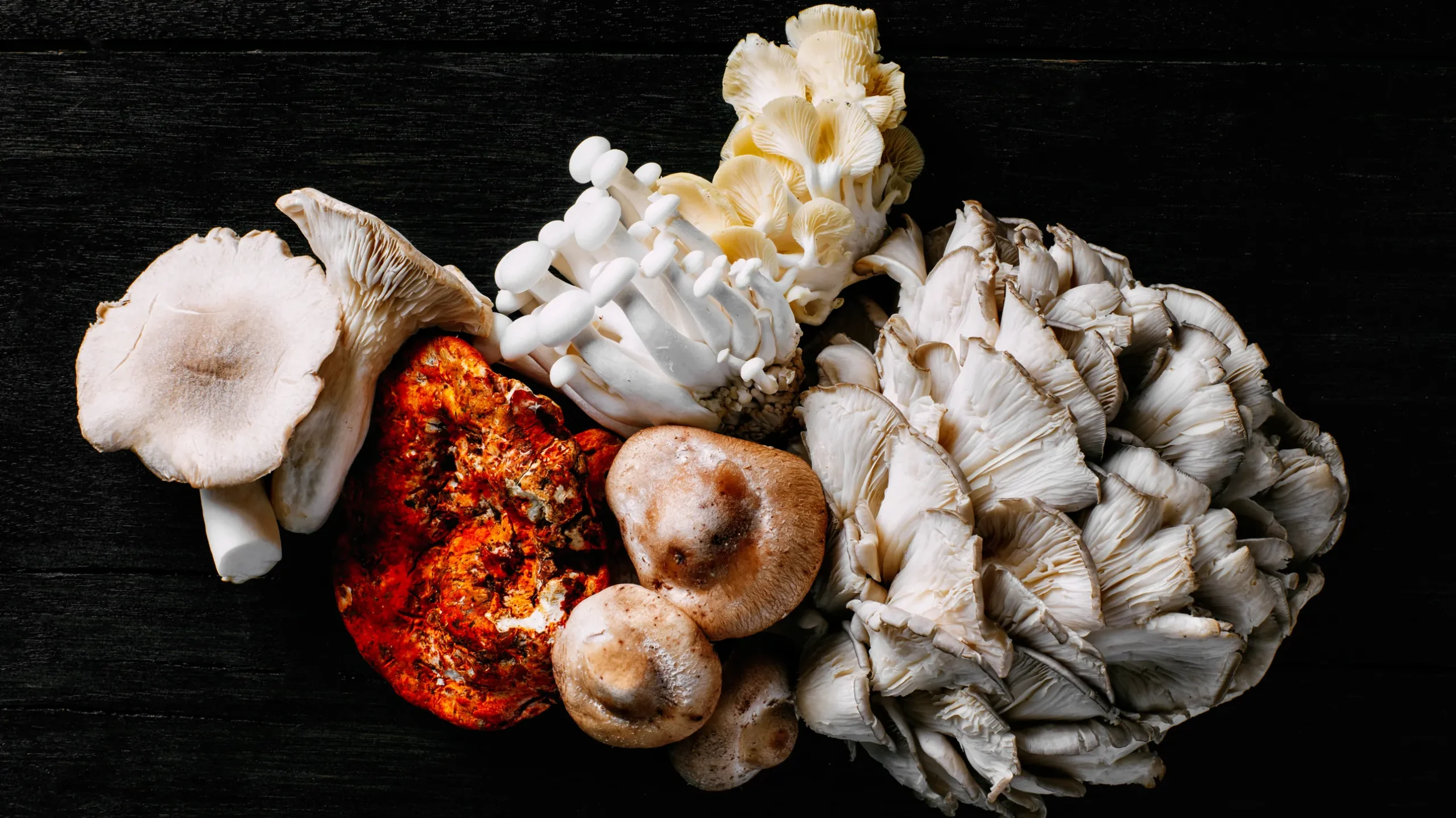 magic mushrooms edibles online